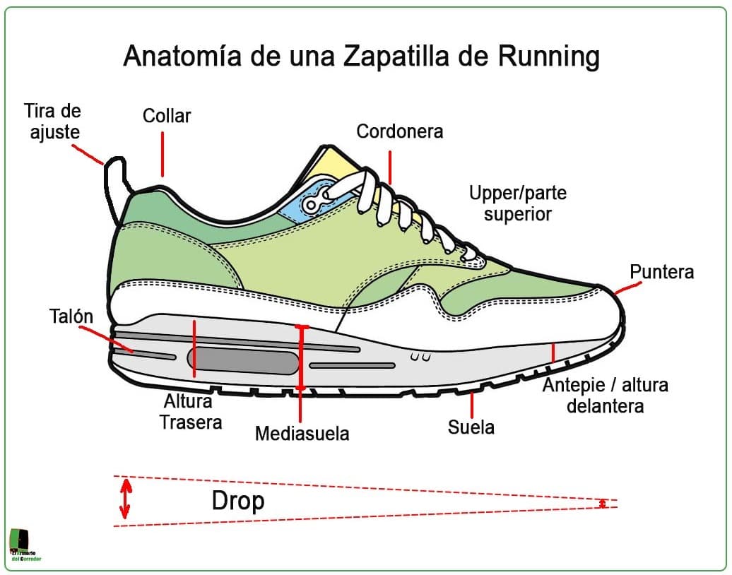 Cómo elegir la Zapatilla de Running Adecuada elarmariodelcorredor