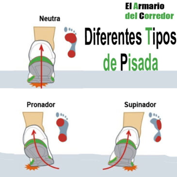 ¿Pronador, Supinador O Neutro? Descubre Tu Tipo De Pisada