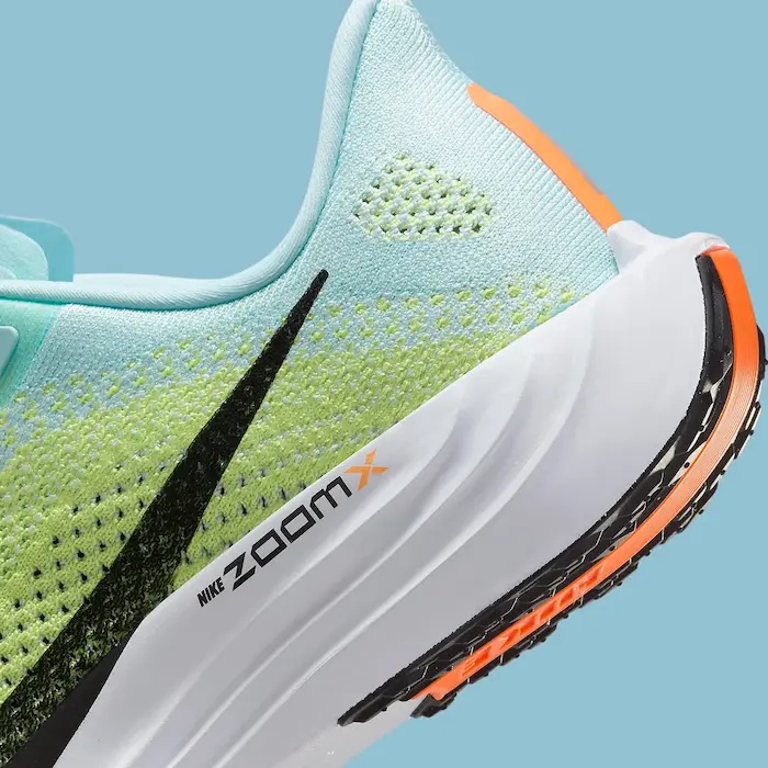 Nike Pegasus Plus back